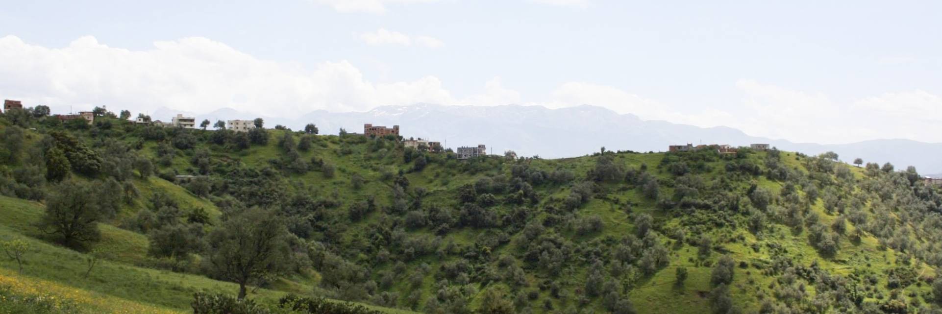 paysage de Kabylie